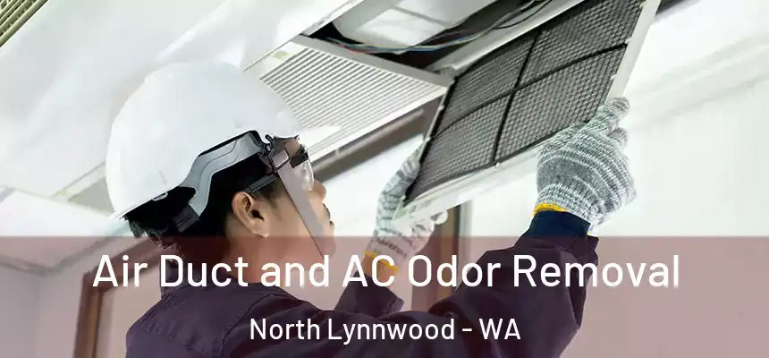  Air Duct and AC Odor Removal North Lynnwood - WA