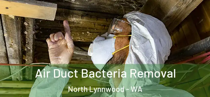  Air Duct Bacteria Removal North Lynnwood - WA