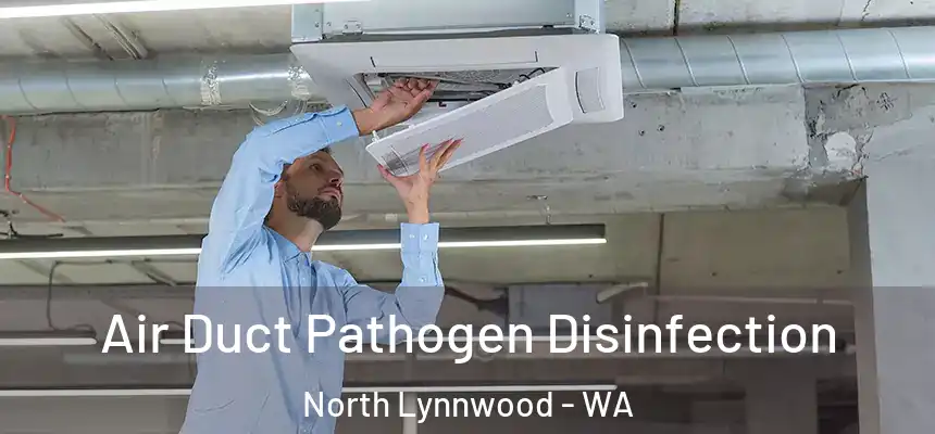  Air Duct Pathogen Disinfection North Lynnwood - WA