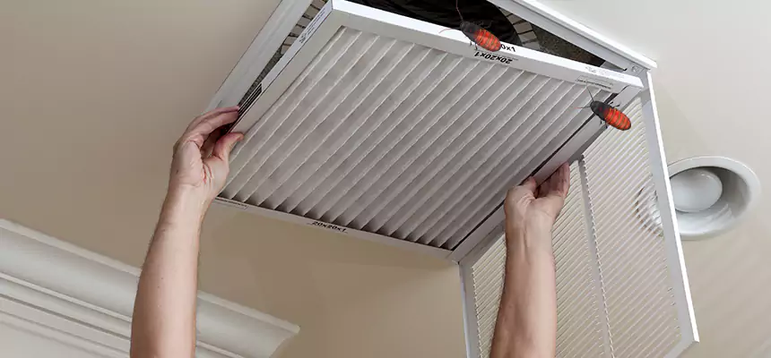 Preventive Cockroach-Proofing for Ducts in North Lynnwood