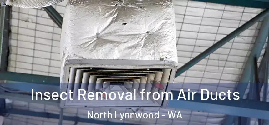  Insect Removal from Air Ducts North Lynnwood - WA