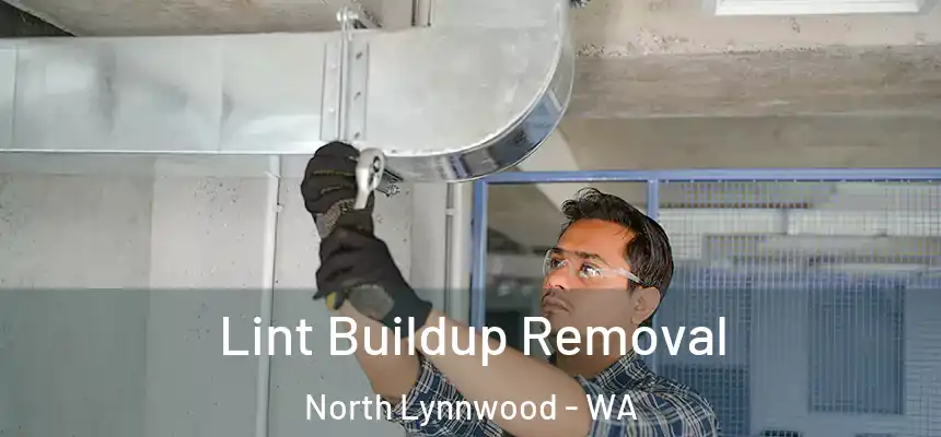  Lint Buildup Removal North Lynnwood - WA