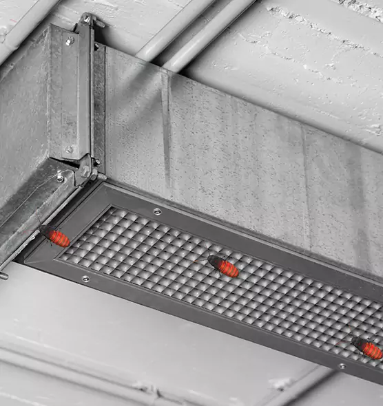 About Air Duct Cockroach Removal in North Lynnwood, WA