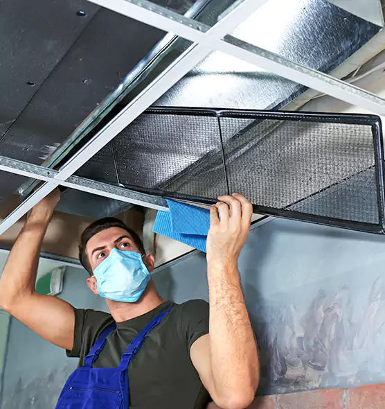 Professional Air Duct Pollen Cleaning in North Lynnwood, WA