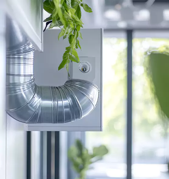 Professional Eco-Friendly Duct Cleaning Services in North Lynnwood, WA