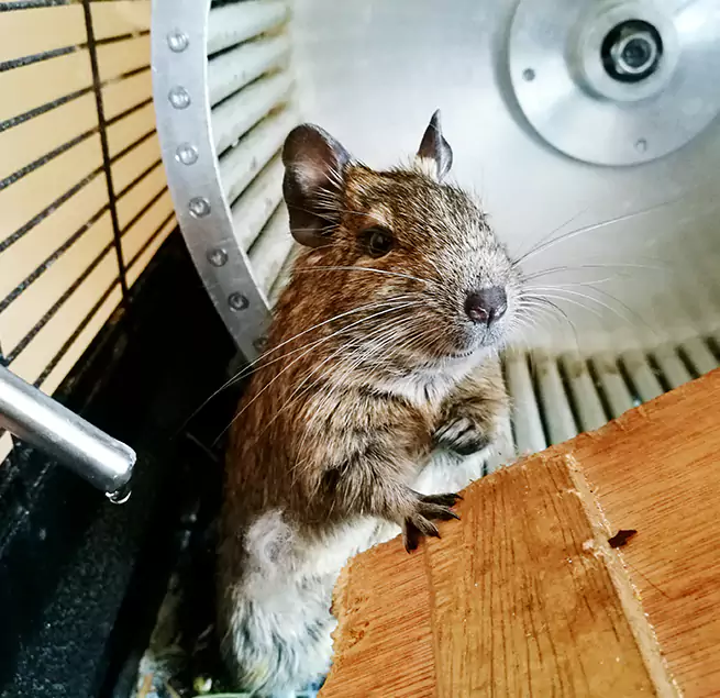 Why Homeowners & Businesses Trust Us North Lynnwood, WA