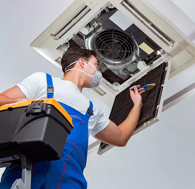 Why Homeowners & Businesses Trust Us in North Lynnwood, WA