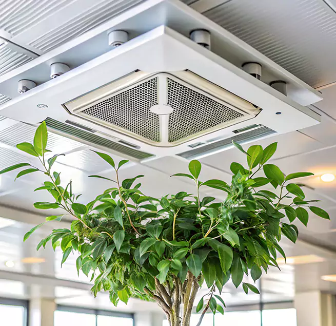 Why Homeowners & Businesses Trust Us in North Lynnwood, WA?